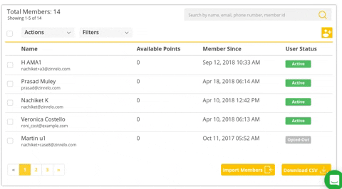 segment customers, Using Tagging to Segment Customers in a Loyalty Program