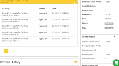 segment customers, Using Tagging to Segment Customers in a Loyalty Program