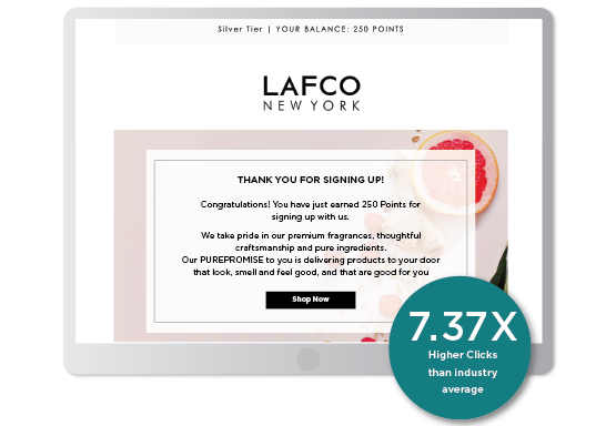Increases Repeat Purchase Revenue, LAFCO New York Success Story Landing Page &#8211; Case Study