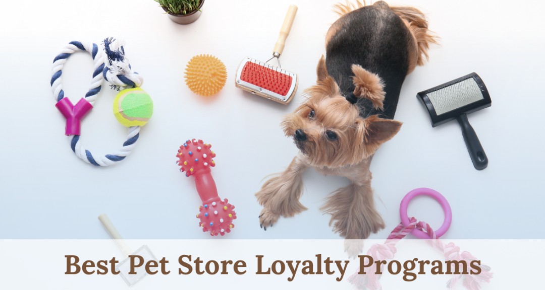 Best Pet-Store Loyalty Programs