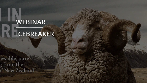 Webinars